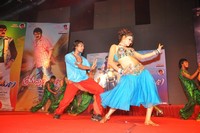Srimannarayana Audio Release Photos